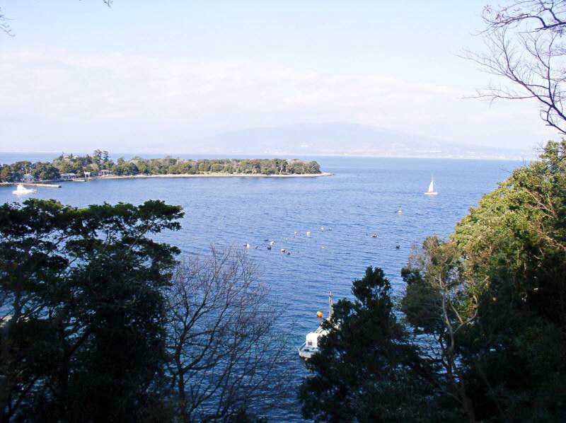 img0008.jpg