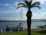 img0001.jpg