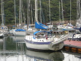 img0008.jpg