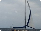 hana004