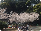 hana008