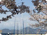 hana024