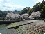 hana060