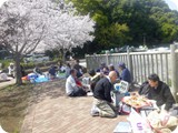 hana095