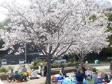 hana096