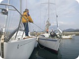 hana126