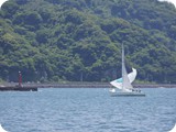 WINDYスピンダウン
